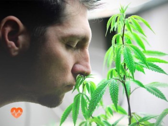 Детоксикация от марихуаны в Новопокровской